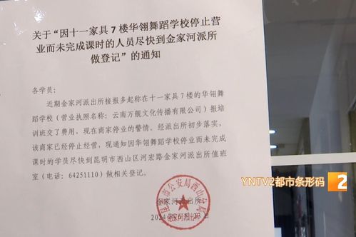 企业资质查询界面