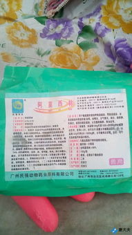 文件袋和药品放在一起