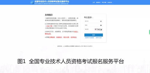 药品回收专业核验过程