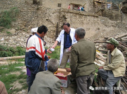 专业人员清点药品