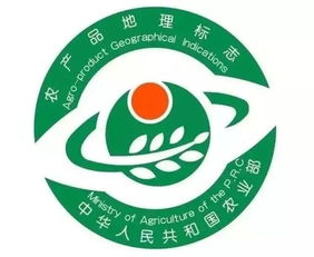 正规回收平台认证