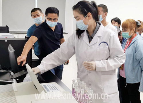 药品检验流程图表