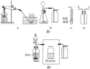 药品分类存放展示