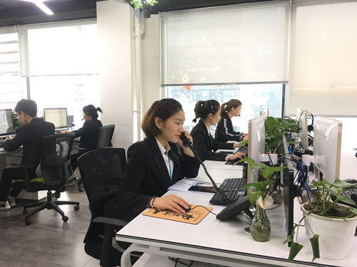 专业客服团队