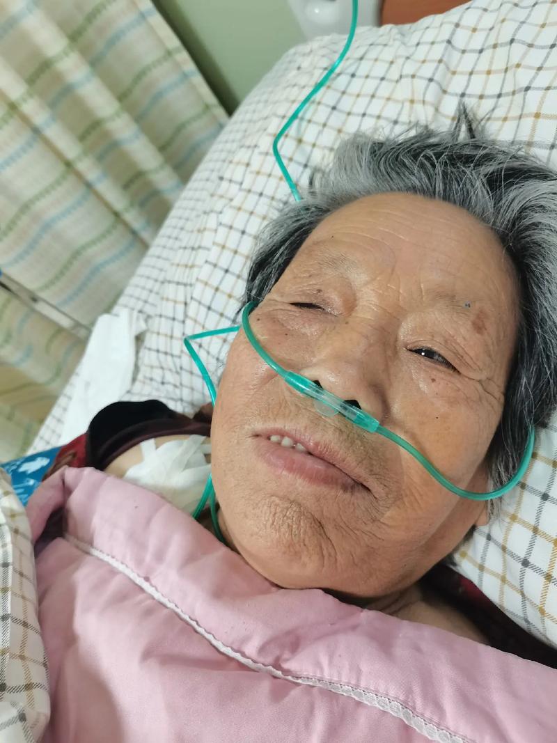 全国收药网app下载安装：小白必看的避坑指南